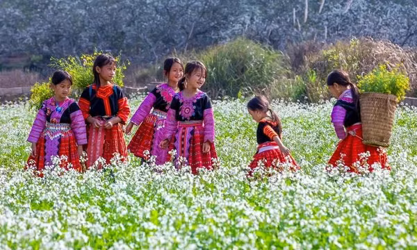 Cơ hội để “du lịch hoa” trở thành thương hiệu