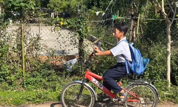 Xúc động cảnh 3 trẻ đạp xe 50km tìm cha, bé nhỏ nhất mới 5 tuổi
