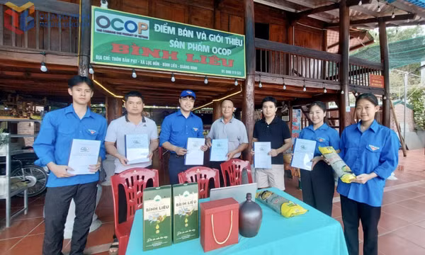 Huyện Đoàn Bình Liêu đồng hành cùng thanh niên lập thân, lập nghiệp