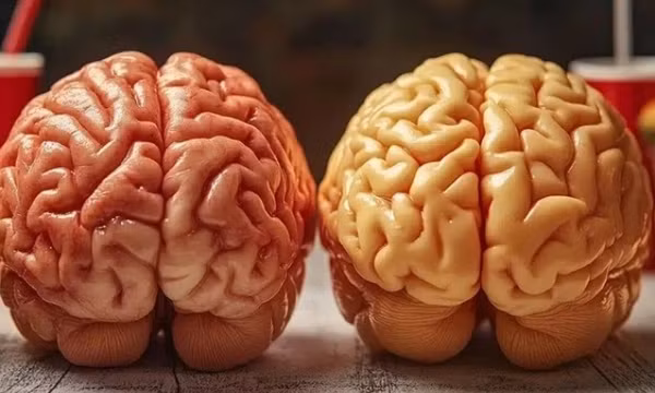 Bạn sẽ ngừng ăn nhiều chất béo nếu biết được điều này