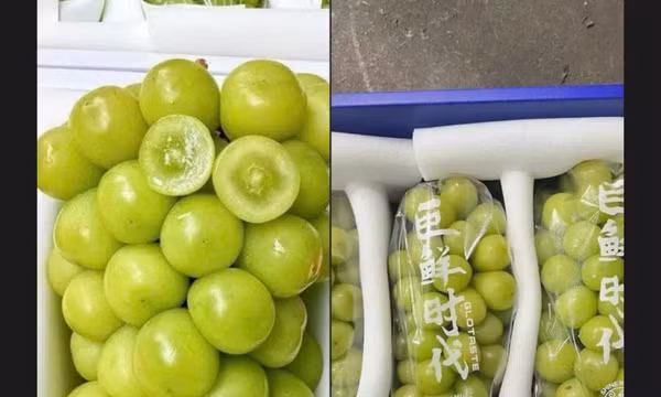 Nho sữa Trung Quốc bán ngập chợ, giá siêu rẻ