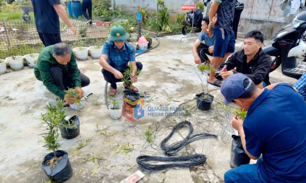 Từng bước xây dựng lực lượng lao động có kiến thức, tay nghề cao