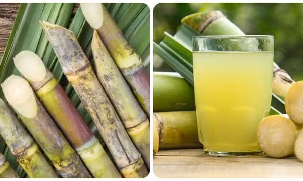 5 tác dụng của nước mía với sức khoẻ