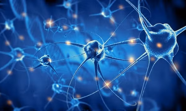 Bất ngờ lý do khiến nam giới có nguy cơ mắc Parkinson cao hơn