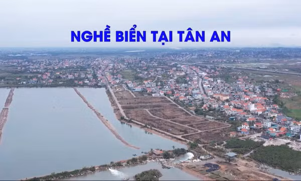 Nghề biển ở Tân An