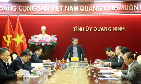 Bản tin Quảng Ninh ngày 31/3/2025