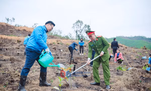 Tuổi trẻ TP Hạ Long: Tiên phong, khát vọng, cống hiến