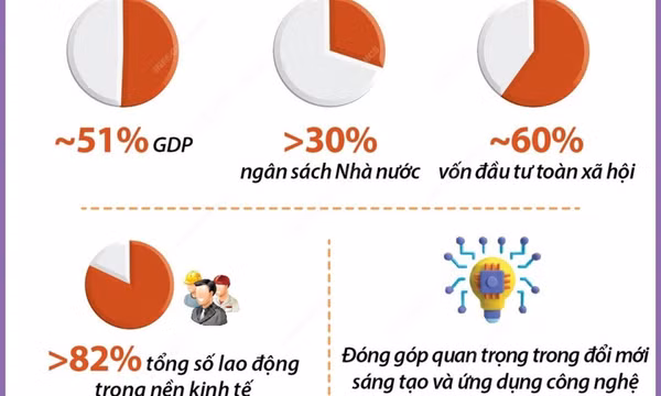 Khu vực kinh tế tư nhân hiện đóng góp khoảng 51% GDP
