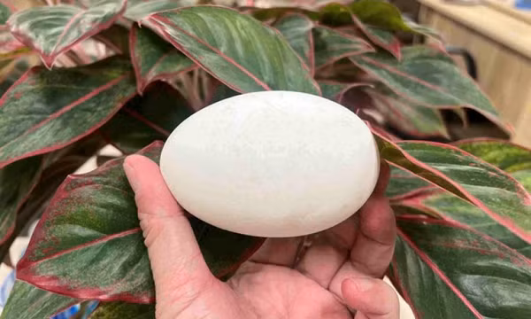 Lý do trứng ngỗng tốt cho bà bầu
