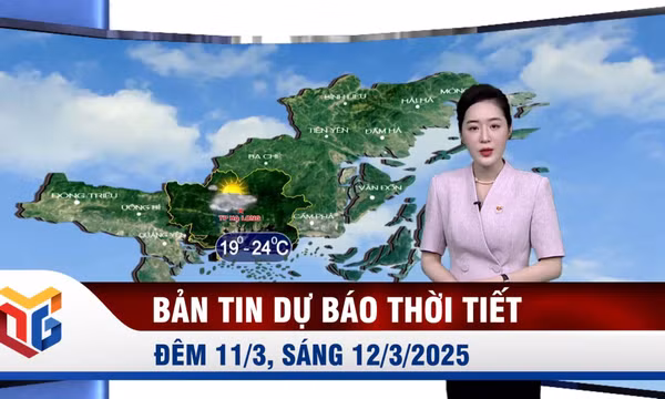 Bản tin dự báo thời tiết đêm 11, ngày 12/3/2025