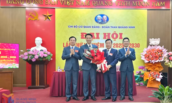 Đại hội Chi bộ Cơ quan Đảng - Đoàn Than Quảng Ninh lần thứ V, nhiệm kỳ 2025-2030