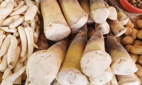 Cách loại bỏ độc tố trong măng tươi hiệu quả nhất