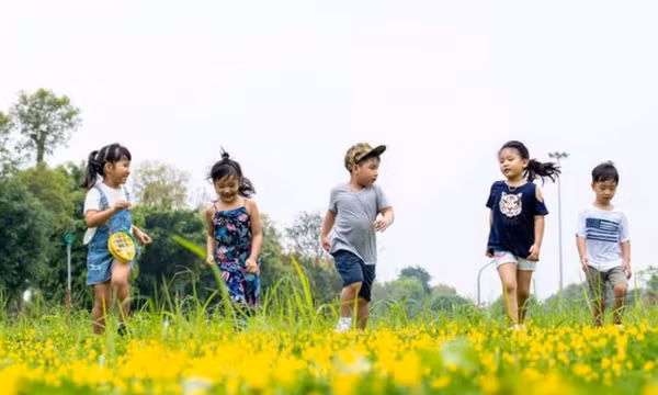 Đảng viên sinh con thứ 3 không bị kỷ luật