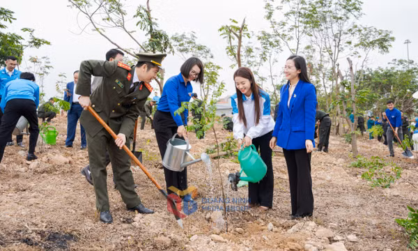 Thanh niên chung sức xây dựng quê hương giàu đẹp
