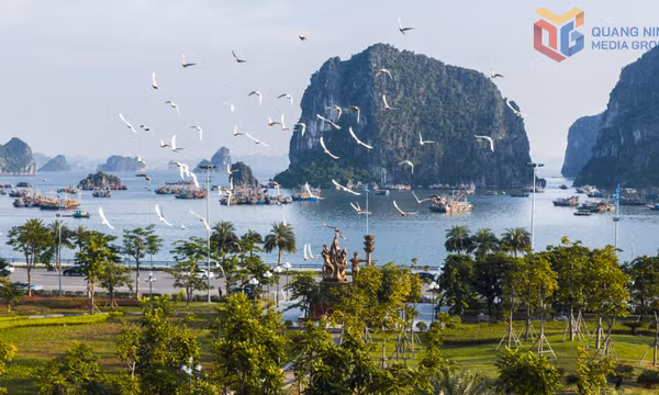 Bình yên bên bờ vịnh di sản