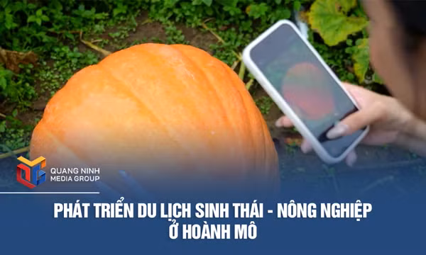 Phát triển du lịch sinh thái - nông nghiệp ở Hoành Mô