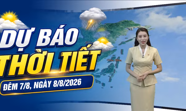 Bản tin dự báo thời tiết đêm 7/8, ngày 8/8/2026