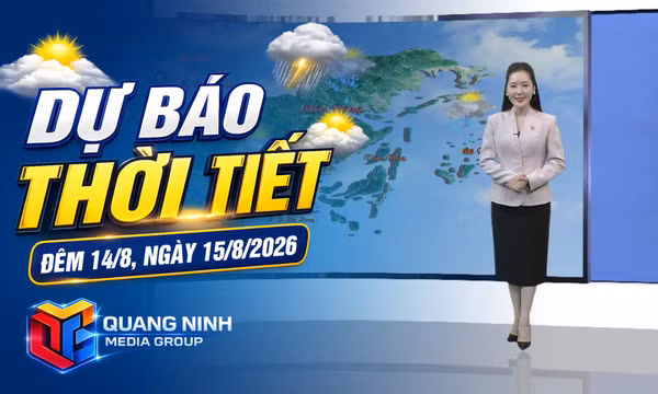 Dự báo thời tiết đêm 14, ngày 15/8/2026