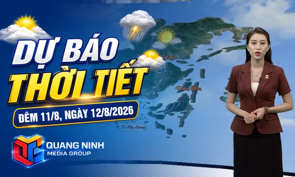 Dự báo thời tiết đêm 11, ngày 12/8/2026