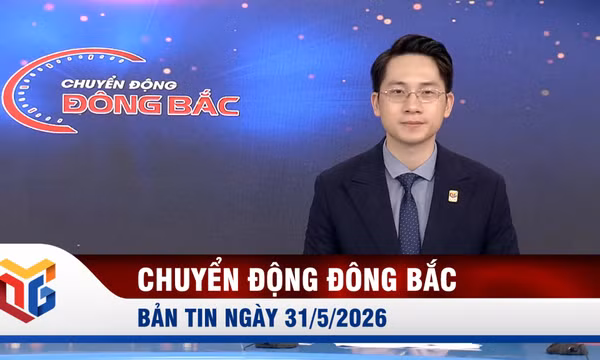 Chuyển động Đông Bắc ngày 31/5/2026