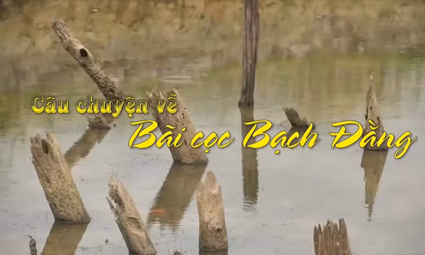 Câu chuyện về Bãi cọc Bạch Đằng