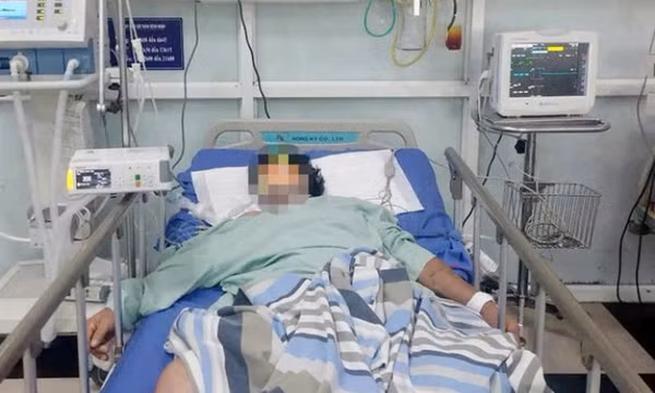 Ăn nhầm lá ngón lẫn trong rau rừng, hai người nhập viện cấp cứu