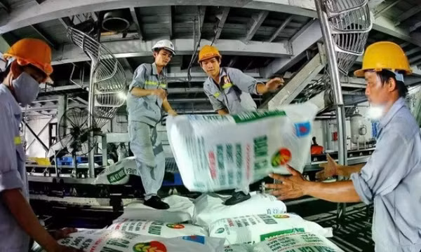 Giá phân bón tăng mạnh: Doanh nghiệp 'kẻ khóc, người cười'