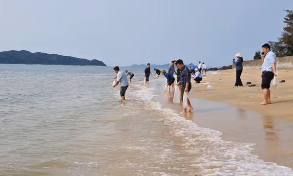 Các địa phương phát động thả giống thủy sản