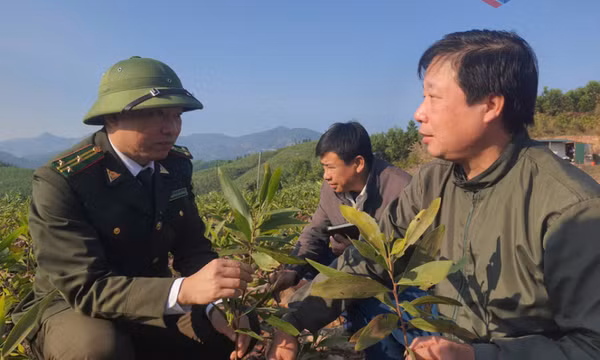 Nâng "chất" nguồn nhân lực