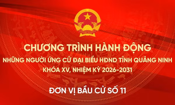 Chương trình hành động của những người ứng cử đại biểu HĐND tỉnh Quảng Ninh khóa XV, nhiệm kỳ 2026-2031 tại Đơn vị bầu cử số 11