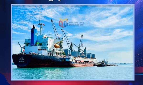 Theo dòng thời sự ngày 20/4/2026: Cảng Con Ong - Hòn Nét - Xác lập vị thế mới trên bản đồ hàng hải 