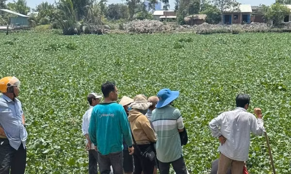 Tìm thấy thi thể hai cháu bé đuối nước trên sông Vàm Cỏ Tây sau hai ngày