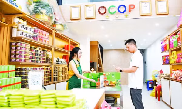 Minh bạch dòng tiền hộ kinh doanh
