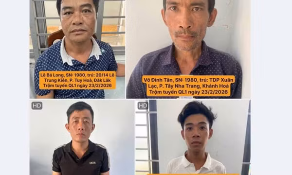 Triệt phá nhóm trộm cắp tài sản trên xe ô tô dừng ven Quốc lộ 1