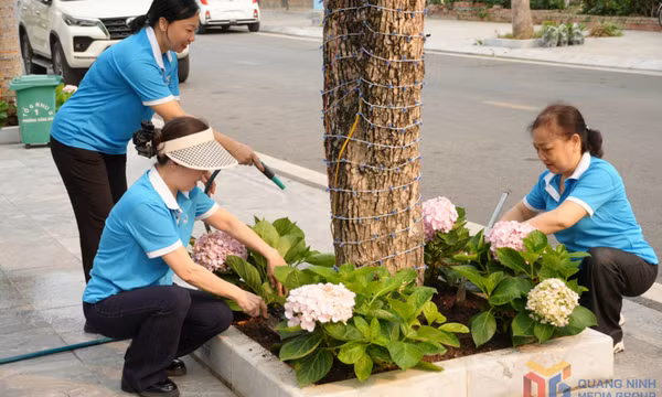 Hội LHPN phường Hạ Long: Ra quân cải tạo, nâng cấp các tuyến đường hoa