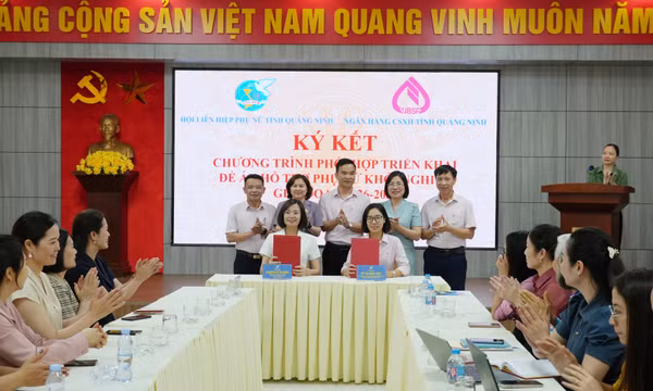 Hội LHPN tỉnh: Triển khai nhiệm vụ trọng tâm quý II/2026
