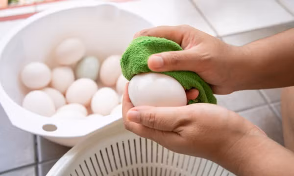 Bảo quản trứng thế nào để giữ được chất dinh dưỡng tốt nhất?