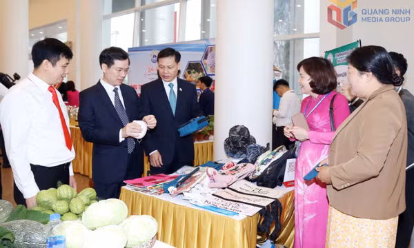 Kinh tế tập thể - động lực phát triển nông nghiệp bền vững