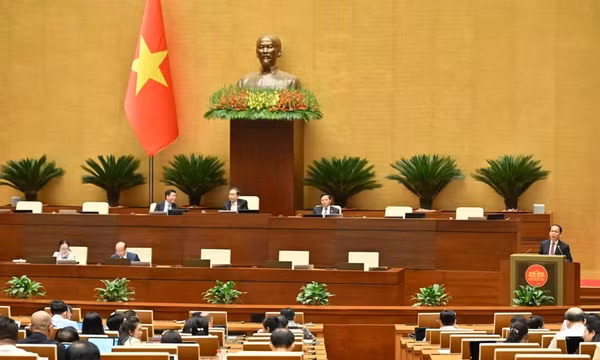 Thí điểm chế định luật sư công: Cần chính sách đủ mạnh để thu hút người có năng lực
