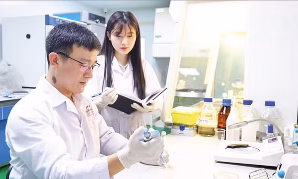 Ứng dụng dược liệu thay thế kháng sinh trong nuôi tôm