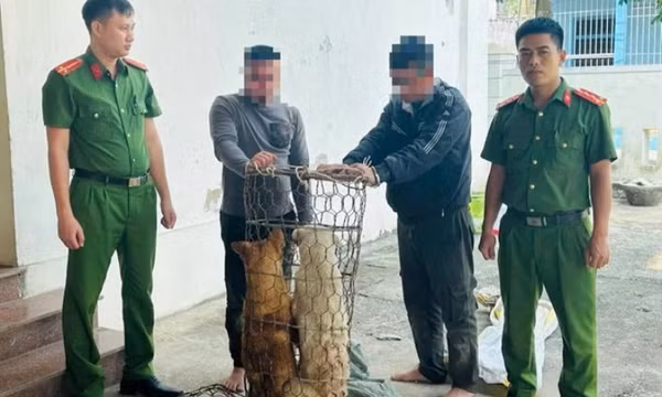 Trộm chó bị phát hiện khi mang theo bình xịt hơi cay