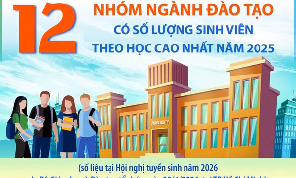 12 nhóm ngành đào tạo có số lượng sinh viên theo học cao nhất năm 2025
