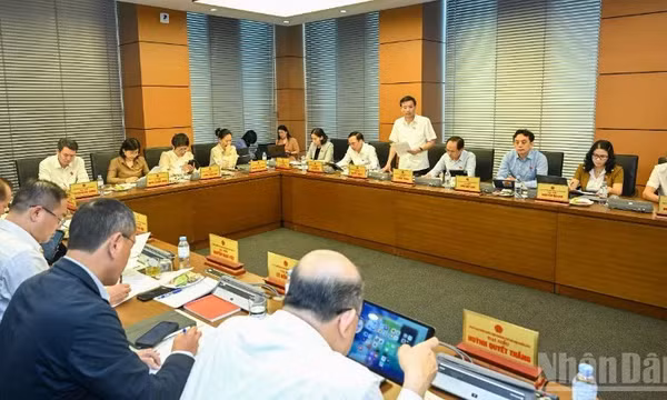 Cần tiếp tục hoàn thiện chính sách và thực thi trong bình đẳng giới