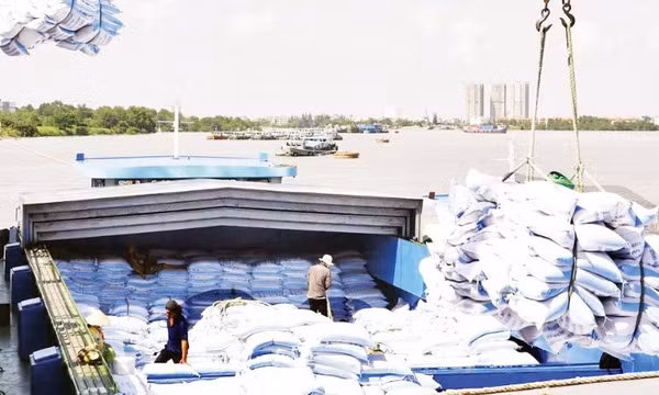Mở rộng thị trường tiêu thụ lúa gạo