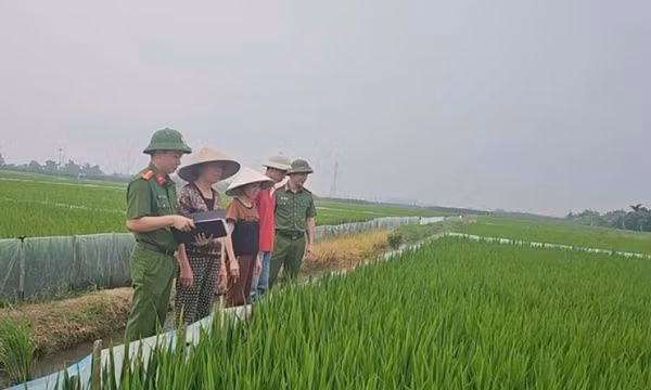 Thêm một vụ tử vong do bẫy chuột bằng điện ở Hải Phòng