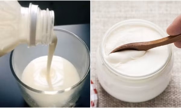 6 loại thực phẩm giàu protein tốt cho người bệnh sốt xuất huyết