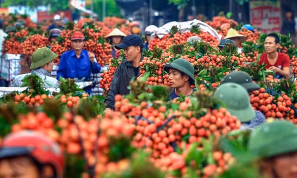 10 tháng năm 2022, xuất khẩu nông lâm thủy sản đạt gần 45 tỷ USD