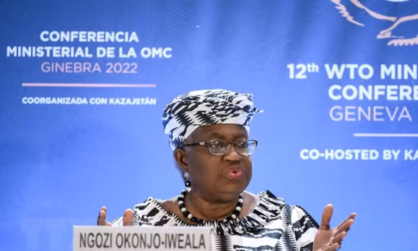 WTO hạ dự báo tăng trưởng thương mại toàn cầu do nguy cơ suy thoái