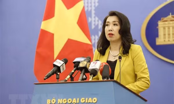 Người Phát ngôn Bộ Ngoại giao nêu quan điểm về vụ chuyến bay giải cứu