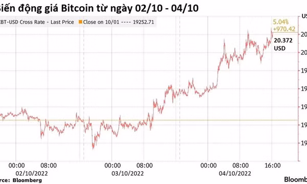 Bitcoin về lại mốc 20.000 USD, Dogecoin bật tăng nhờ Elon Musk